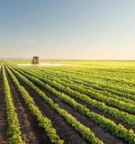 Сельское и лесное хозяйство Сельское и лесное хозяйство