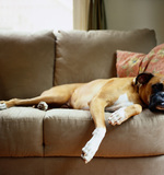 Мебель и обивка Мебель и обивка